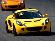 rental Lotus